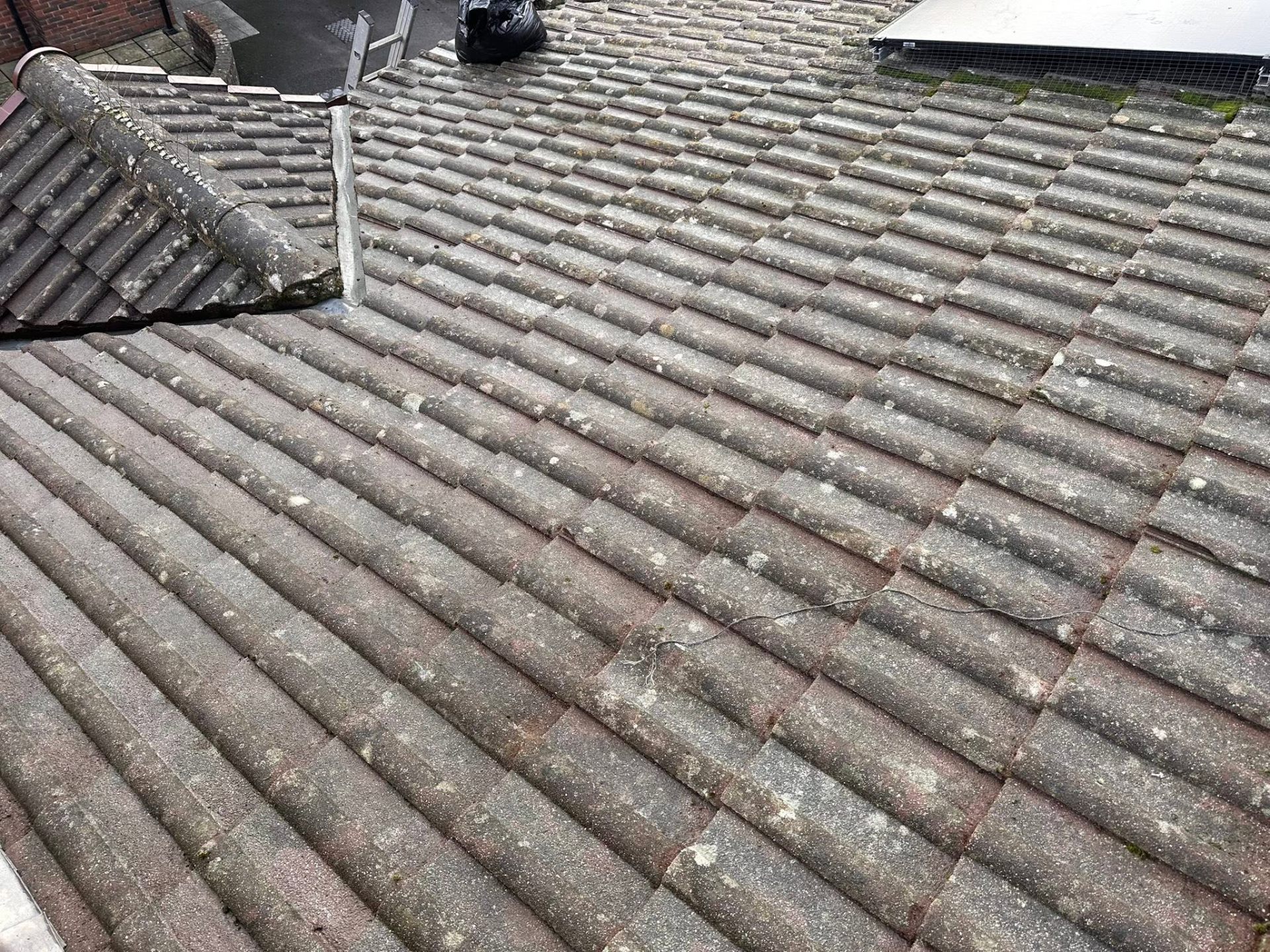 Tiled roof after softwash treatment by Dorset Exterior Cleaning