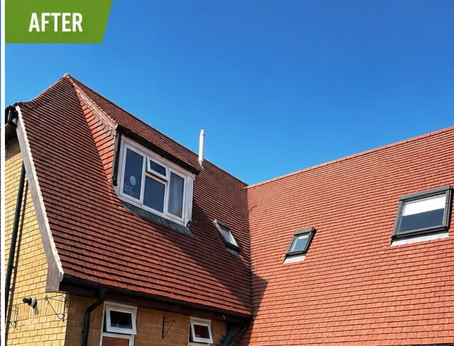 After, Semi-detached clay tile roof softwash, Roof Cleaning, Dorset – Dorset Exterior Cleaning